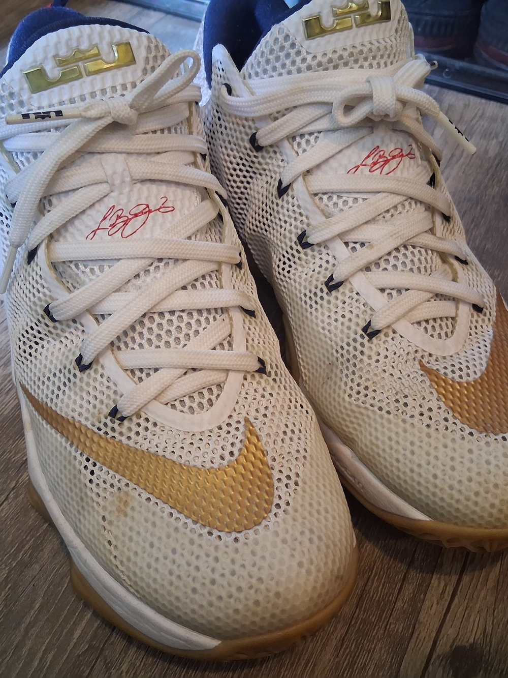Nike LeBron 12 OG Sneakers
